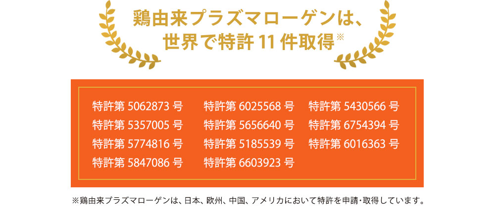 世界で特許11件取得